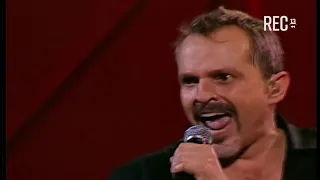 Amante Bandido,  Miguel Bosé -  Festival de Viña (2008)