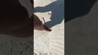 Sanbering quicksand