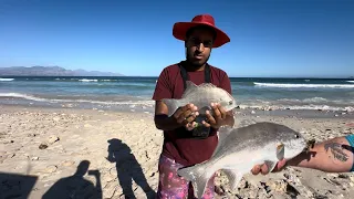 Fishing for Galjoen in Cape Town[Catch&Cook]