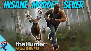 I Found A INSANE MODDED Server!! - TheHunter Call Of The Wild #thehuntercallofthewild