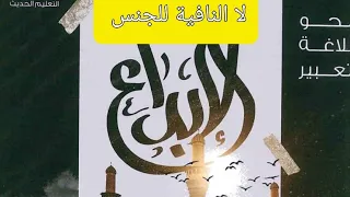 حل تدريبات لا النافية للجنس من كتاب الإبداع ٢٠٢٤