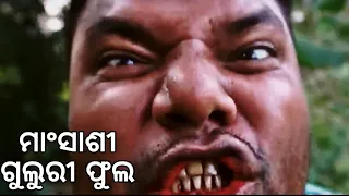 Mansasi Guluri Fula / Santu Nije Comedy / Badmash Toka / Odia Comedy