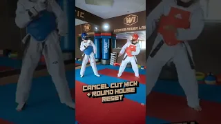 3 Counter Attacks vs. Front Leg Kicks in Taekwondo Sparring