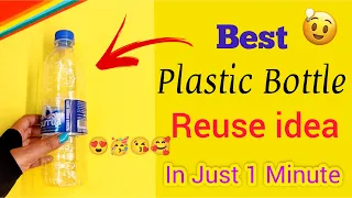 Waste Plastic Bottle Craft #shorts #ytshorts #myfirtsvideo #youtubeshorts #viralvideo