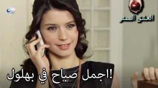 لقاءات الصباح بيهتر وبهلول! - العشق الممنوع الحلقة مقطع خاص
