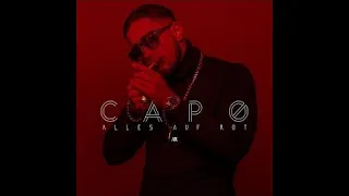 CAPO - KOMM WIR CHILLEN feat. YONII & BAUSA  (speed up)