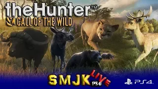 Cztery wzgórza theHunter: Call of the Wild PS4 Pro PL LIVE 13/12/2019