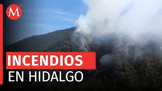 Registran cuatro incendios forestales en 24 horas en Hidalgo; aún no se determinan las causas