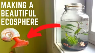 How to Make an Ecosphere | Don't Make These Mistakes | Sealed Aquarium Guide