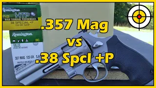 Is There REALLY Any Difference? .357 Magnum vs .38 Special +P Ballistic Gel Testing!