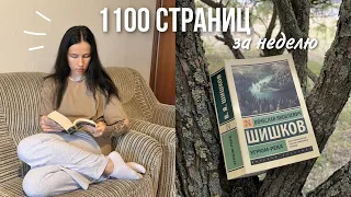 КАК ПРОЧИТАТЬ ОГРОМНУЮ КНИГУ за 6 дней 🤯 | книжный марафон 📚