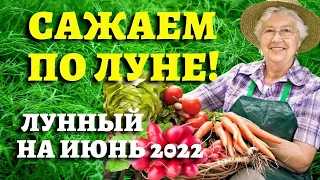 ТОЧНЫЙ ЛУННЫЙ ПОСЕВНОЙ КАЛЕНДАРЬ НА ИЮНЬ 2022 по дням  #лунныйпосевнойкалендарь