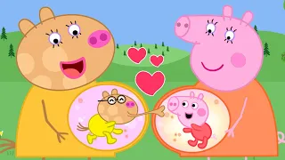 Baby Peppa x Baby Pedro Funny Stories | Peppa Pig Funny Animation