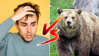 The Man Vs Bear Drama Is Just Stupid...