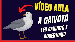 Vídeo Aula do Instrumental A Gaivota - Leo Canhoto e Robertinho