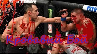 Тони Фергюсон VS Энтони Петтис. Полный бой ufc 229