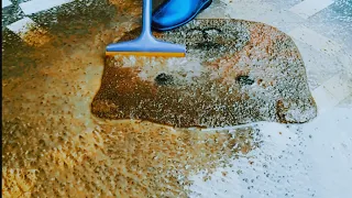 Extremely cleaning dirty and muddy carpet|rug cleaning satisfying |asmr video