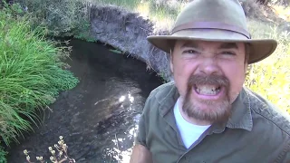 HOW to FIND GOLD |  In Rivers and Creeks - ask Jeff Williams