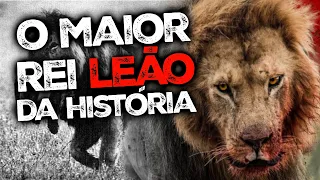 A Dinastia de um Rei Leão - NOTCH O MAIOR LEÃO DA HISTÓRIA (DOCUMENTÁRIO COMPLETO)