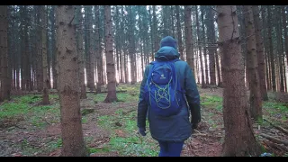 Wandern in den Wäldern Mecklenburgs | Fuji XT4 | Samyang 12mm