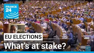 EU: What are the biggest issues in this year's election? • FRANCE 24 English