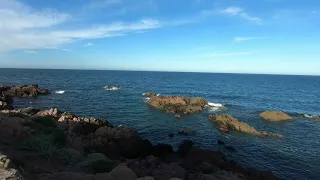 Puerto lobos