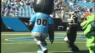 Carolina Panthers Mascot Bowl XII