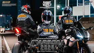 RABBIT AND WHEELS - CARBON 2024
