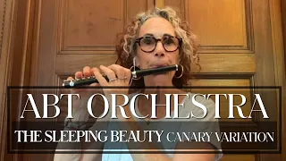 Orchestral Performance: THE SLEEPING BEAUTY Canary Variation