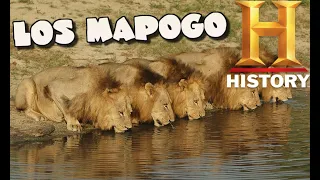 LOS MAPOGO DOCUMENTAL COMPLETO