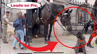 SOLDIER SWIFTLY RESPONSE TO THIS MAN WHO UNLEASHED HIS DOG AT THE FRONT OF THE KING’S HORSE!