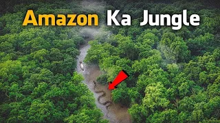 Unbelievable Facts About the Amazon Rainforest You Never Knew!"