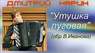 Владимир Иванов Парафраз на тему песни "Утушка луговая" Играет Дмитрий Харин (баян) НСМШ