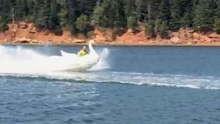Swan boat: P.E.I. resident gives new meaning to 'Swan Lake'