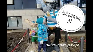 Последние прогулки перед карантином. Парк Останкино,  СОЮЗМУЛЬТФИЛЬМ