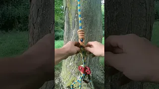 VT friction hitch | SRT & DRT | #treework #treesurgery #arborist #knot #2023 #arb #howto #tutorial