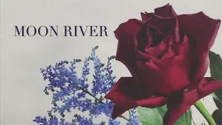 Moon River a cappella cover