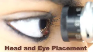 AIMING Head and Eye placement video284