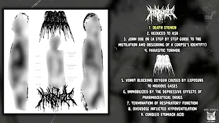 Meatshield / Aroma - Human Cross Section Collection split FULL ALBUM (2024 - Goregrind)