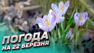 🌦️ Погода на 22 березня: що чекає на Україну?