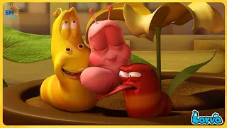 LARVA FULL EPISODE FOR LIFE | CARTOONS MOVIES NEW VERSION | COMEDY VIDEO 2023