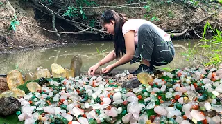 Wow So Cool! I Found Colorful Gems, Black Stone, Quartz Crystals, Natural Gemstones In Forest