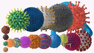 Virus vs. Mask - Size Comparison 3D (Cloth and Surgical Mask)