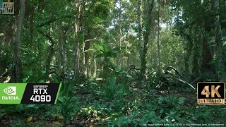 [4K] Virtual Forest Walk - Unreal Engine 5 Ultra Realistic Jungle Forest Demo looks Insane RTX4090
