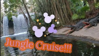 The COMPLETE Jungle Cruise ride experience at Disney World (with reviews)