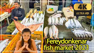 walking tour around Fereydonkenar fish market | 4k UHD