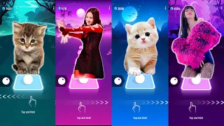 CUTE CAT JISOO FLOWER BLACKPINK JISOO FLOWER and KITTY ICE CREAM BLACKPINK and BLACKPINK ICE CREAM