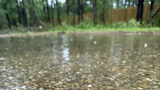 10 Hours of Relaxing Thunderstorm Sounds: Rain on Aluminum Roof | Soothing Nature Ambience