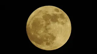 The Full "Strawberry" Moon June 14, 2022 - Super Moon