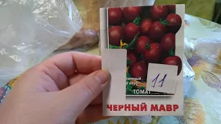 Черный  Мавр, от поиск